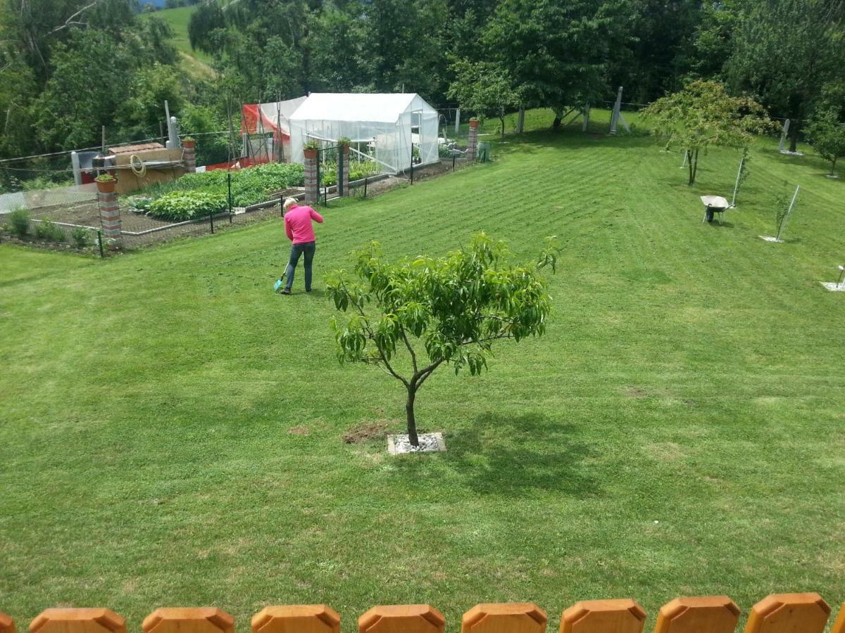 Sostanj Velenje Ravne Sobe Rooms Vrtacnik D O O Kültér fotó