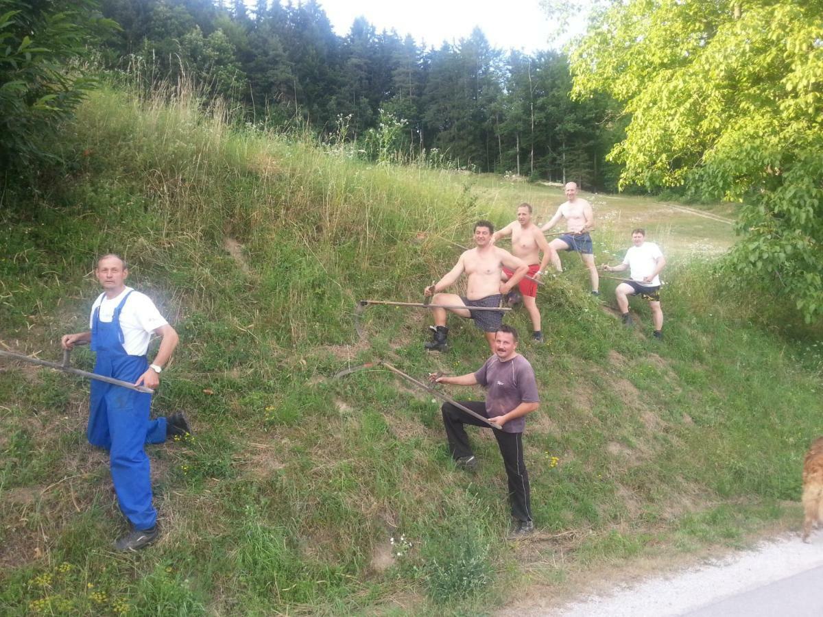 Sostanj Velenje Ravne Sobe Rooms Vrtacnik D O O Kültér fotó